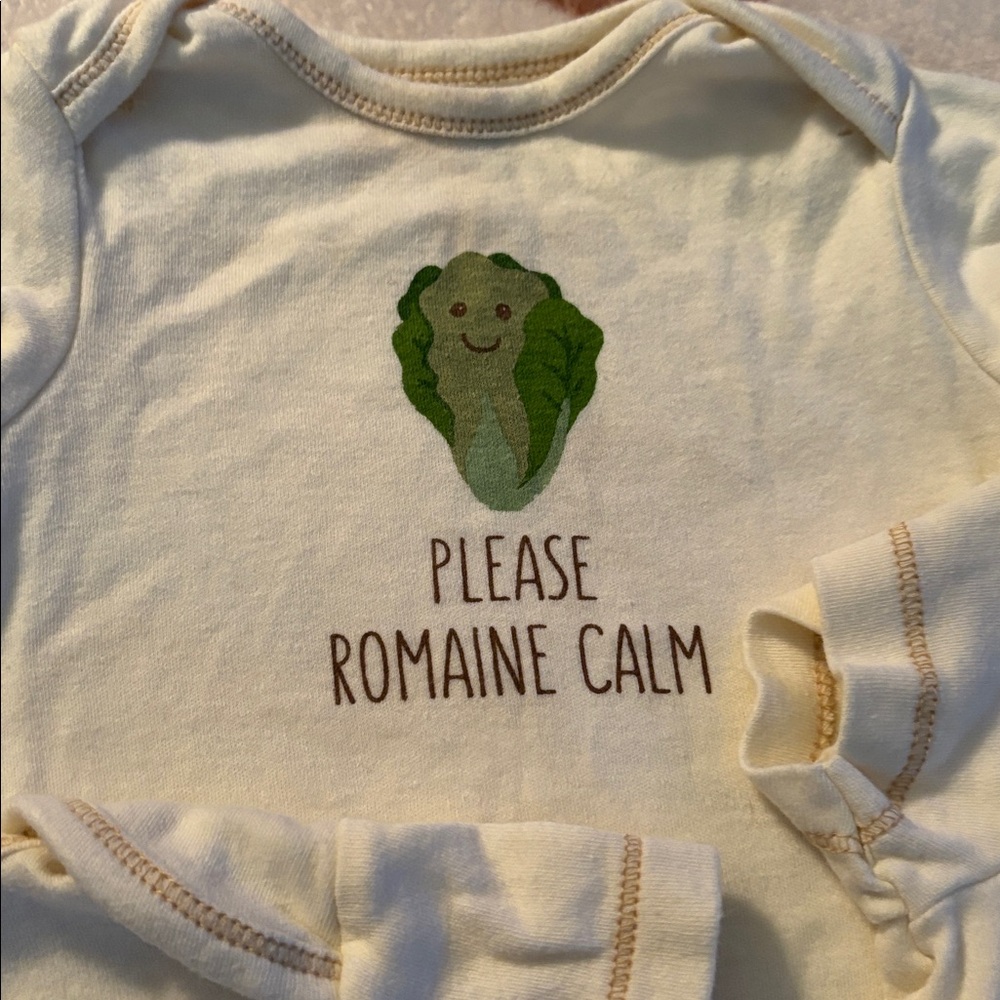 Adorable Set of Onesies - Picture 2 of 7